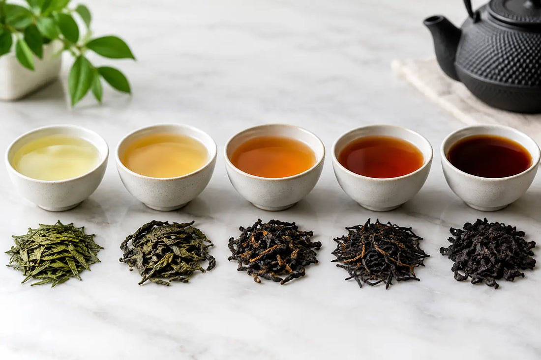 Tea Oxidation Levels Explained, Cup by Cup