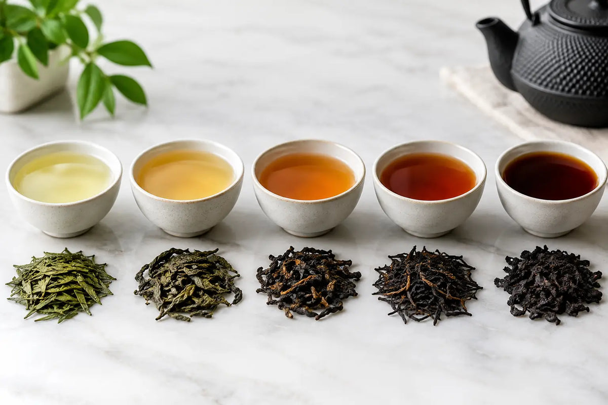Tea Oxidation Levels Explained, Cup by Cup